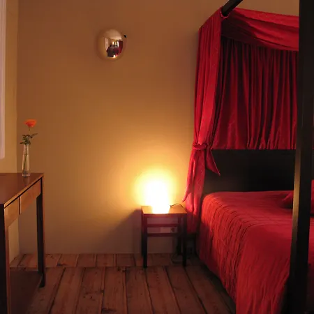 Le Windsor, Jungle Art Hotel