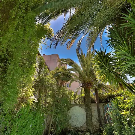 Le Windsor, Jungle Art Hotel Nice