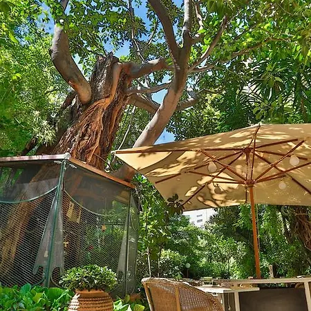 Le Windsor, Jungle Art Ξενοδοχείο Νίκαια