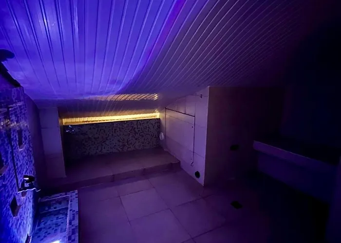 Le Windsor, Jungle Art 4*