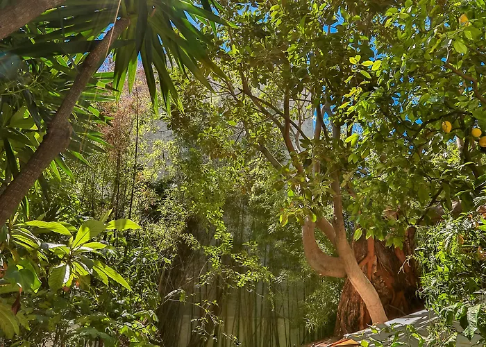 Le Windsor, Jungle Art Nizza