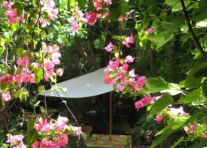 Hotel Le Windsor, Jungle Art