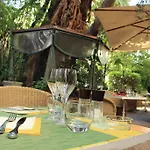 Hotel Le Windsor, Jungle Art Niza