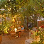 Le Windsor, Jungle Art