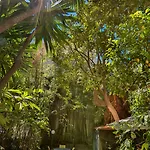 Le Windsor, Jungle Art Niza