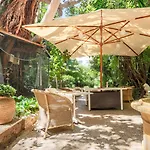 Le Windsor, Jungle Art Hotel 4*