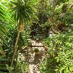 Le Windsor, Jungle Art 4*