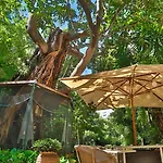 Le Windsor, Jungle Art 酒店 4*
