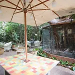 Hotel Le Windsor, Jungle Art Niza