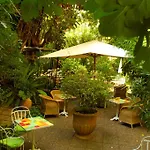 Le Windsor, Jungle Art Niza