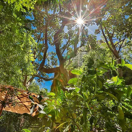 Le Windsor, Jungle Art 4* Ницца