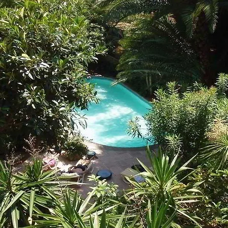 Le Windsor, Jungle Art