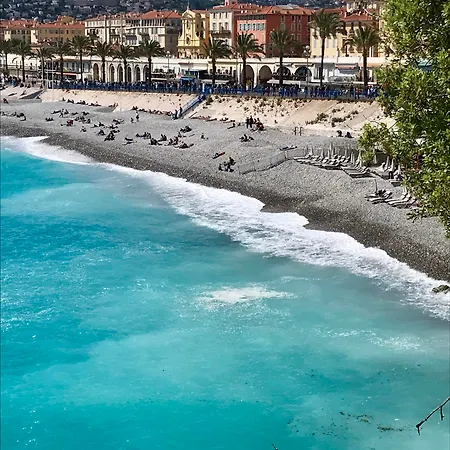 Le Windsor, Jungle Art