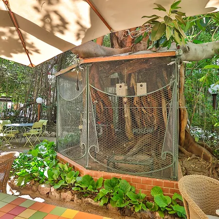 Le Windsor, Jungle Art Ницца