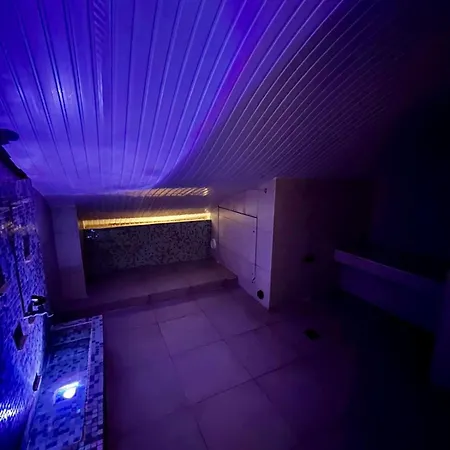 Le Windsor, Jungle Art 4*