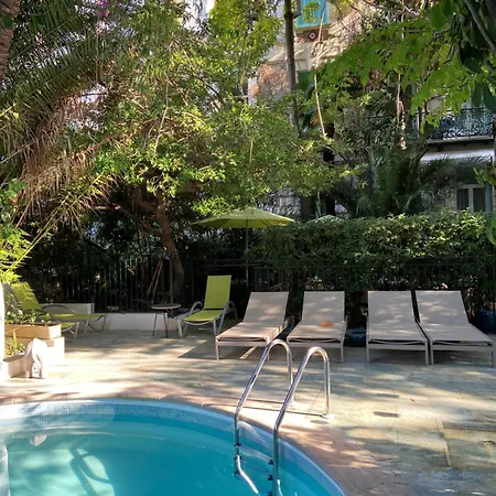 Otel Le Windsor, Jungle Art