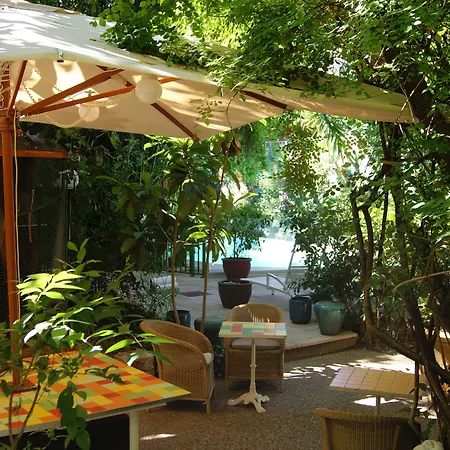 Le Windsor, Jungle Art فندق نيس