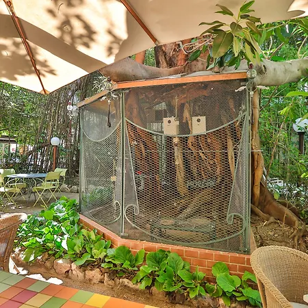 Otel Le Windsor, Jungle Art Nice