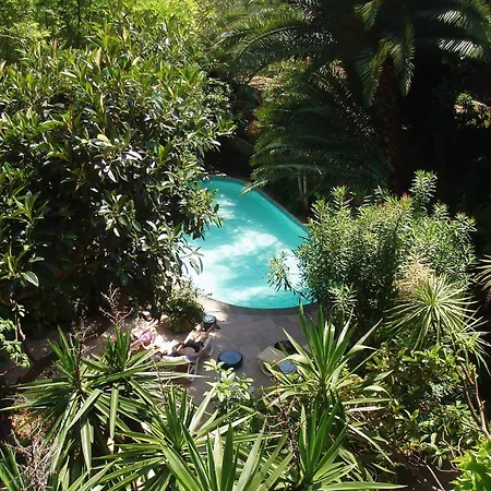 Otel Le Windsor, Jungle Art 4*