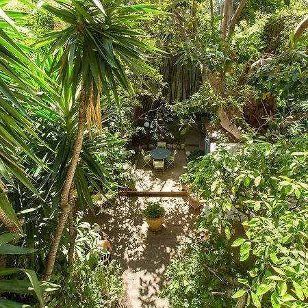 Le Windsor, Jungle Art 4*