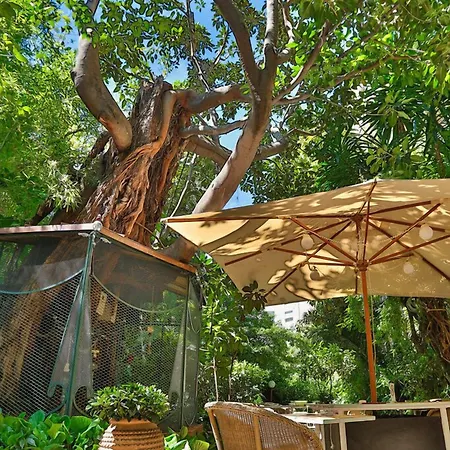 Le Windsor, Jungle Art Otel 4*