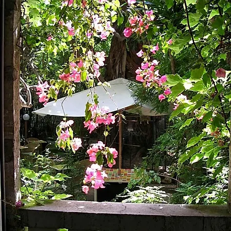 Le Windsor, Jungle Art Hotel Niza