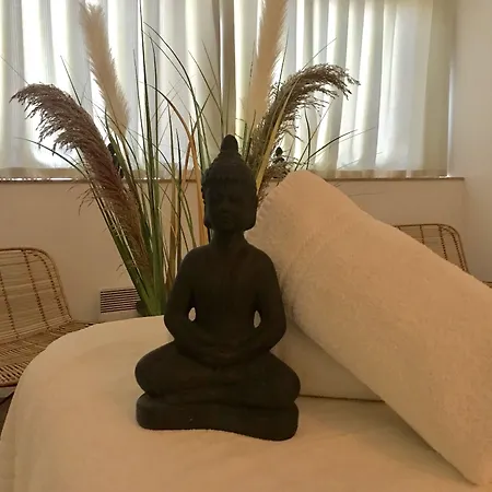 Le Windsor, Jungle Art 4* Niza