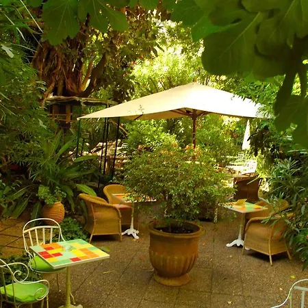 Le Windsor, Jungle Art Ницца