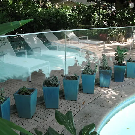 Le Windsor, Jungle Art Отель