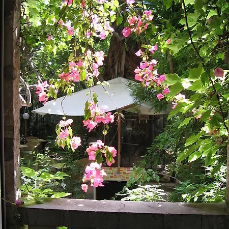 Le Windsor, Jungle Art 4* Ницца