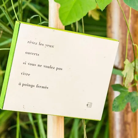 Отель Le Windsor, Jungle Art 4*
