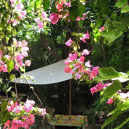 Отель Le Windsor, Jungle Art