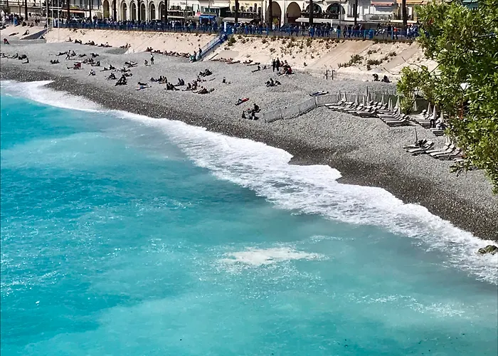 Le Windsor, Jungle Art