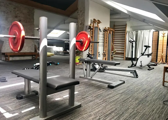 Hotel Le Windsor, Jungle Art