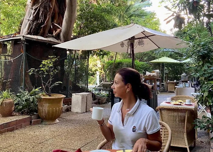 Le Windsor, Jungle Art