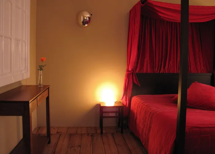 Le Windsor, Jungle Art Hotel