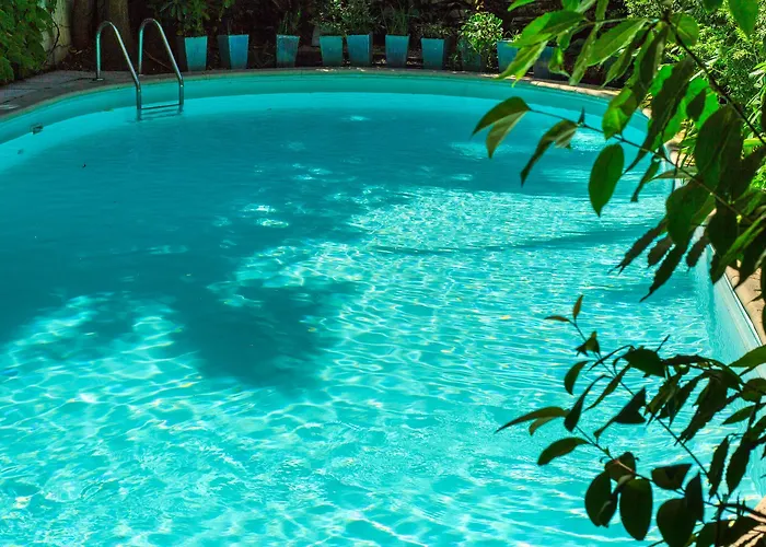 Le Windsor, Jungle Art