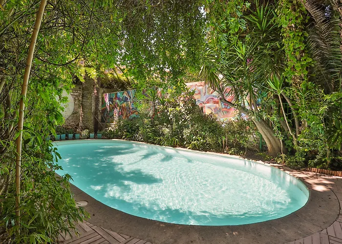 Le Windsor, Jungle Art 4*