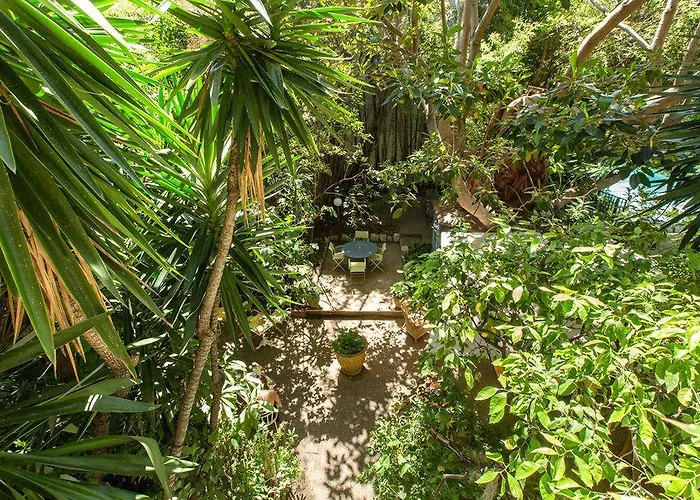 Le Windsor, Jungle Art 4*