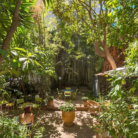 Le Windsor, Jungle Art 4*