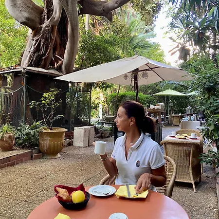 Le Windsor, Jungle Art