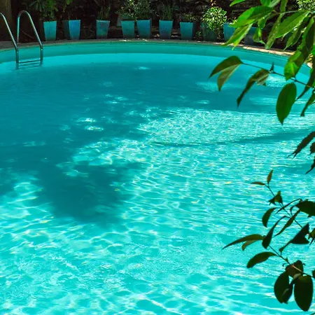 Le Windsor, Jungle Art