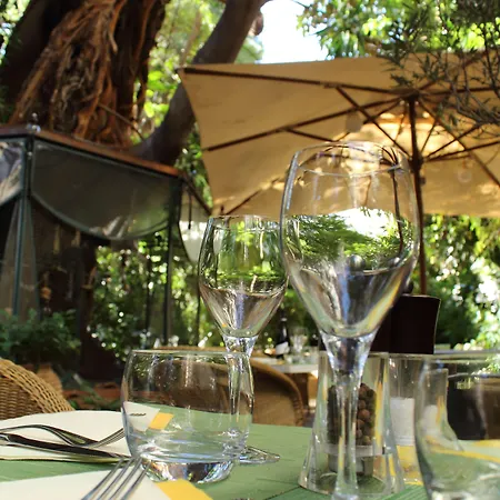 Le Windsor, Jungle Art 4*