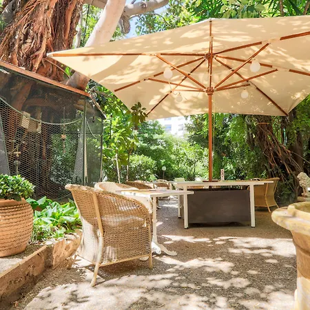 Le Windsor, Jungle Art Отель 4*