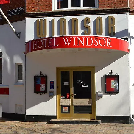 Отель Le Windsor, Jungle Art